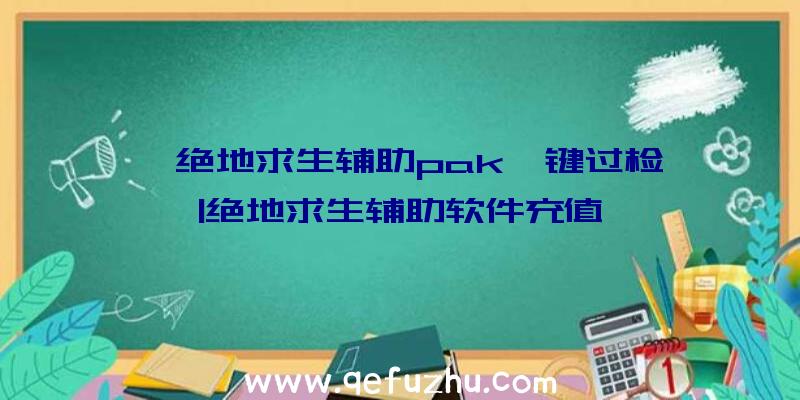 「绝地求生辅助pak一键过检」|绝地求生辅助软件充值